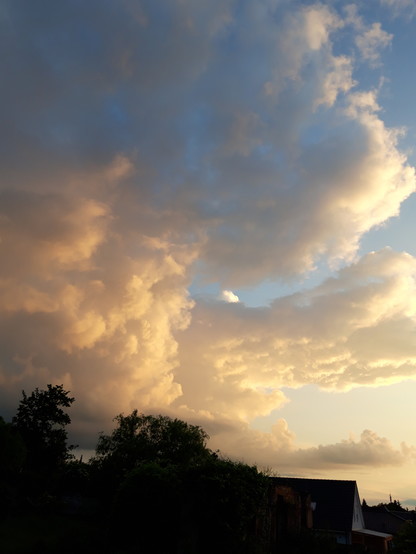 Foto großer Cummuluswolken, von der Abendsonne angestrahlt und in sachtes rosa, das fast schon in weiches orange übergeht, getaucht wird. Weitere Wolkenberge sind hinter den Wolken zu erahnen und leichten noch weiß. Im Vordergrund dunkel zwei Weiden und eine Dachecke.