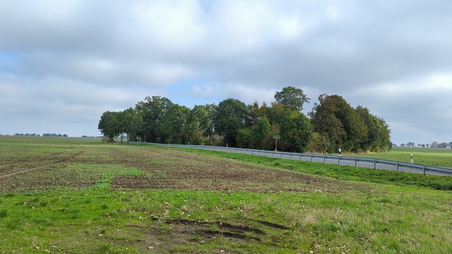 Ein Blick auf Stadt Frankfurt hinter Bäumen gelegen. Benannt nach einer Gaststätte die schon nicht mehr existiert. ca 34 Einwohner leben dort.