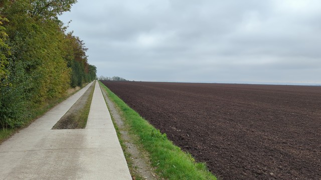 Ein Feldweg aus glatten Betonstreifen. Daneben ein frisch geeggtes Feld.