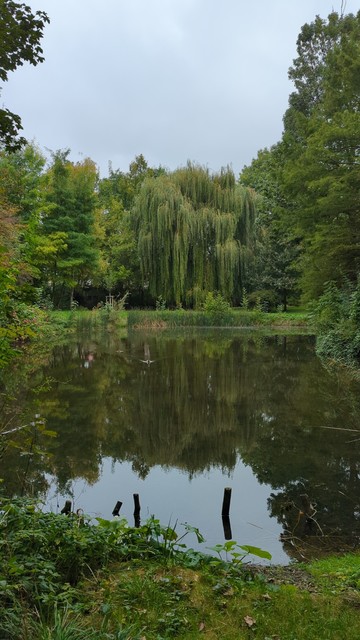 Der See im Park von Schwaneberg mit Blick auf eine Weide.