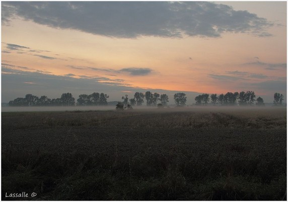 Das Bild zeigt eine Abendstimmung mit abgeernteten Feldern und aufkommendem Bodennebel. Im Hintergrund eine belaubte Baumreihe, darüber nach untergegangener Sonne der leicht bewölkte und gerötete Himmel. Die Baumreihe teilt das Bild horizontal. Die Aufnahme entstand in der Ostprignitz.